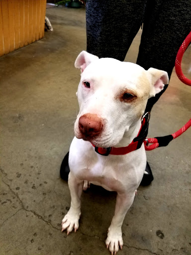 Pet Supply Store «Western Ranch & Pet Supply», reviews and photos, 103 Aegean Way, Vacaville, CA 95687, USA