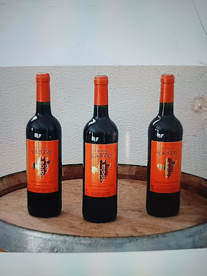 Château de Taste à Queyrac