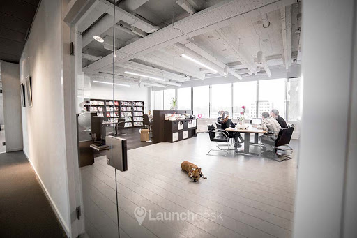 Launch Desk office Amsterdam