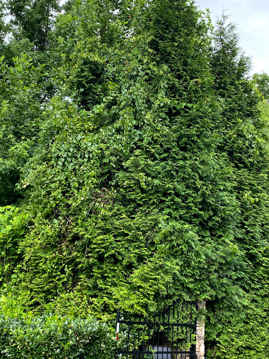 Landscape Designer «New Leaf Landscape Services», reviews and photos, 2341 Danbury Ln # C, Gainesville, GA 30507, USA