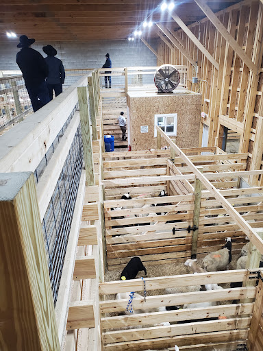 Monroe Livestock Auction