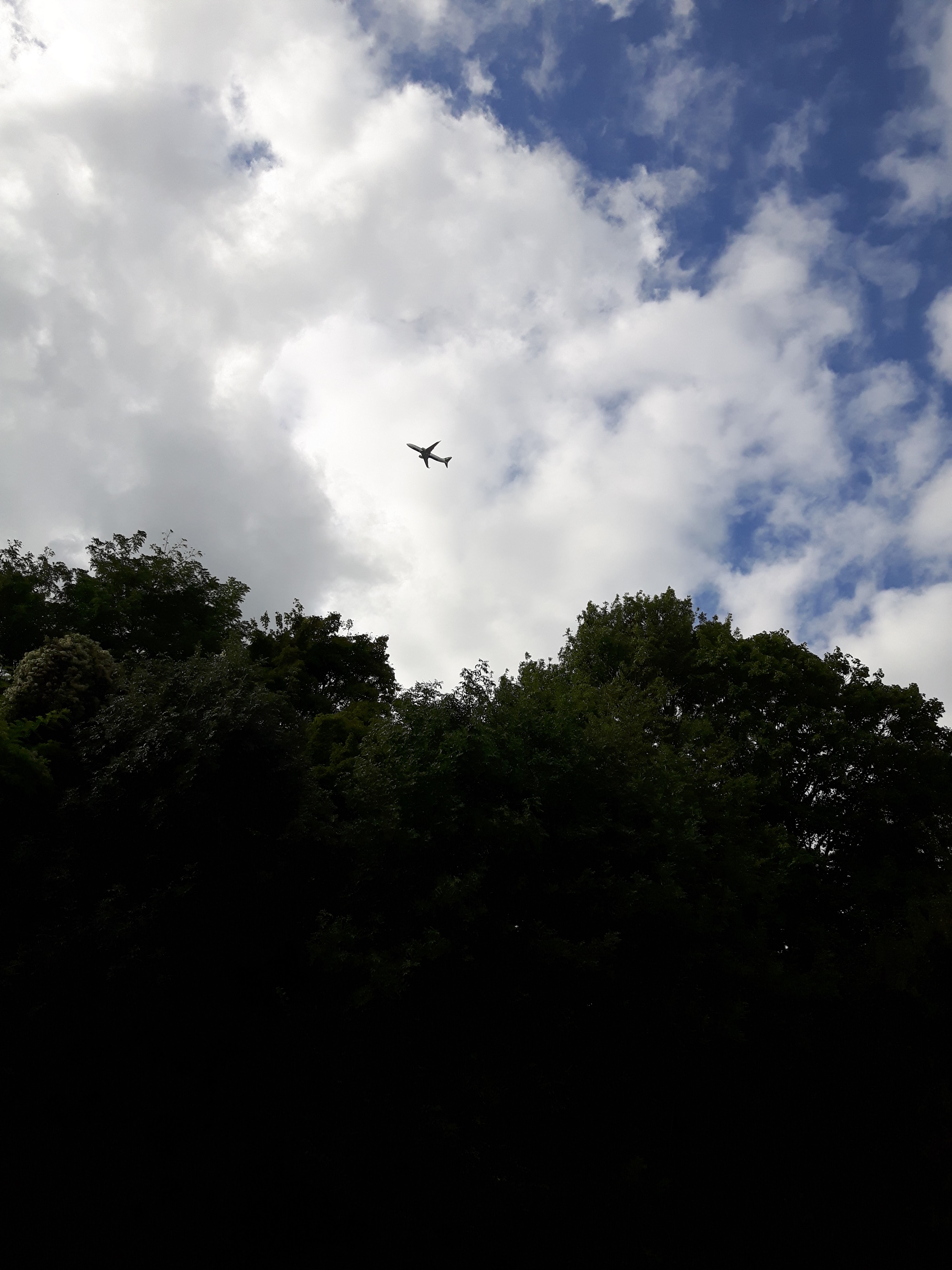 Photo n° 8 de l'avis de Nacer.r fait le 11/09/2017 à 11:26