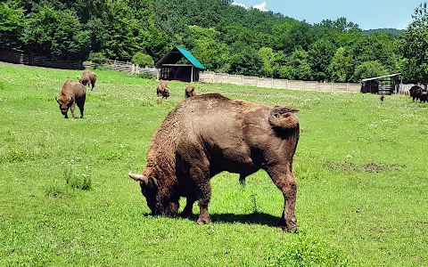 Bison Nature Reserve image