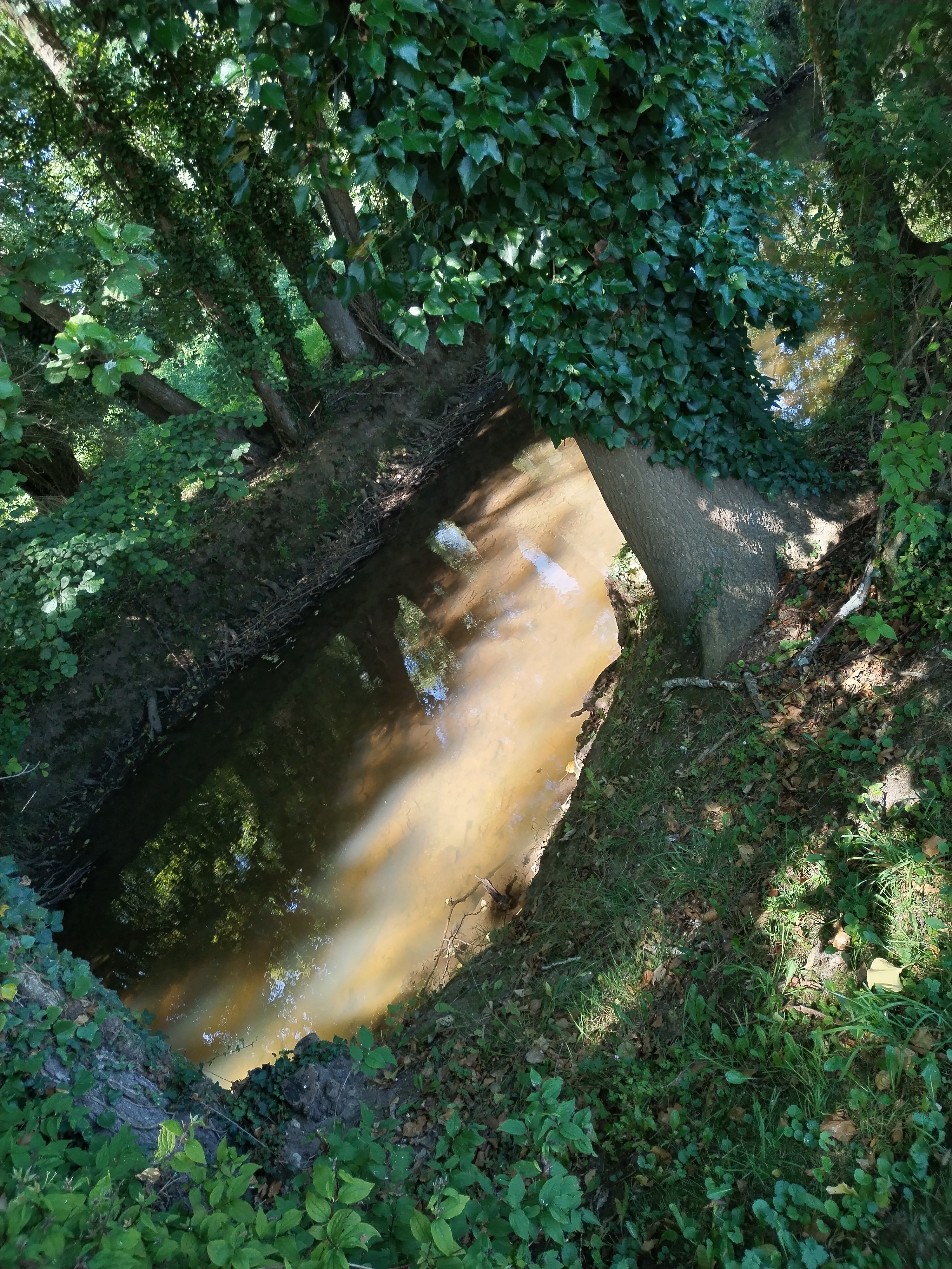 Photo n° 11 de l'avis de Nath.d fait le 13/09/2023 à 19:01