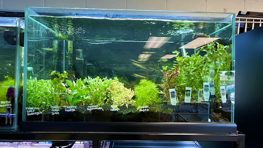 Pet Store «Fish 4 U», reviews and photos, 4010 Highland Dr #1, Millcreek, UT 84124, USA