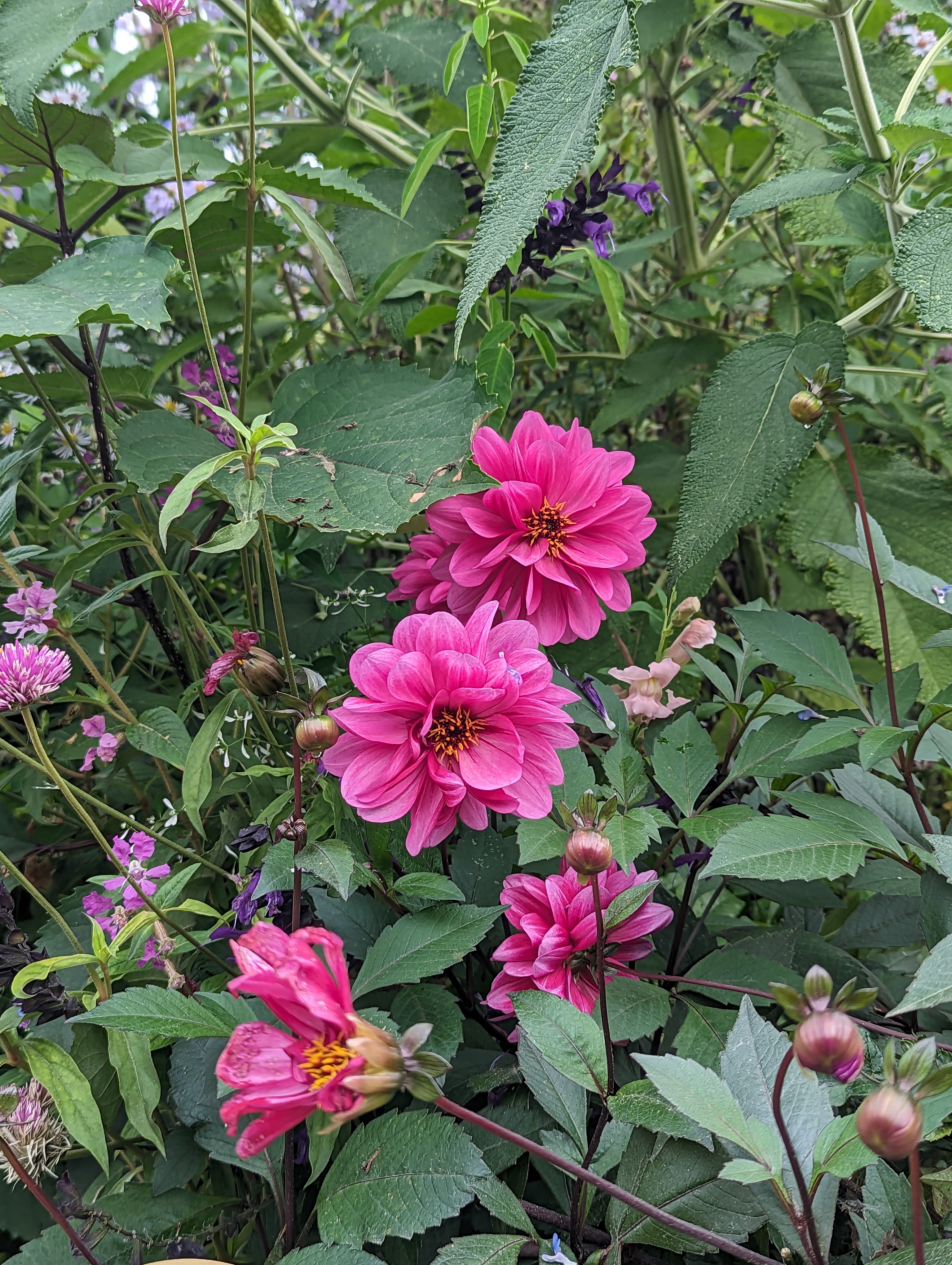 Photo n° 15 de l'avis de Salima.l fait le 05/11/2023 à 22:12