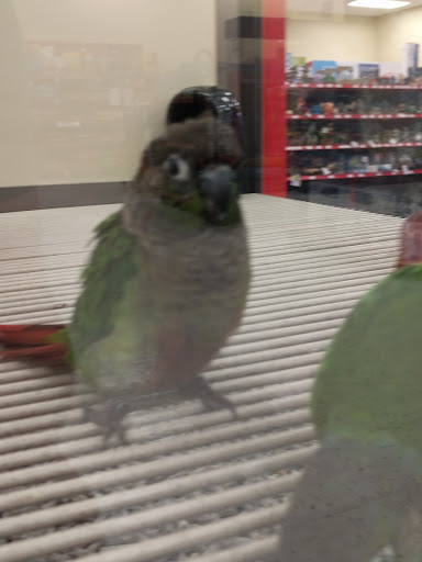 Pet Supply Store «Petco Animal Supplies», reviews and photos, 4950 S 76th St, Greenfield, WI 53220, USA