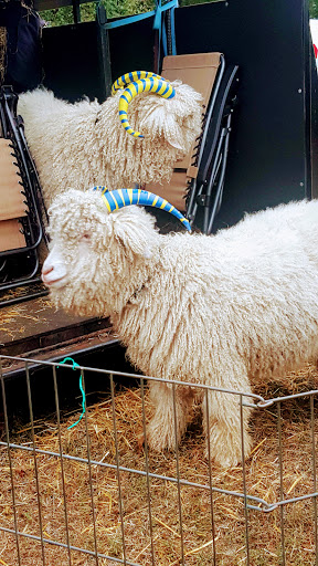 Stadium «Navy-Marine Corps Memorial Stadium», reviews and photos, 550 Taylor Ave, Annapolis, MD 21401, USA