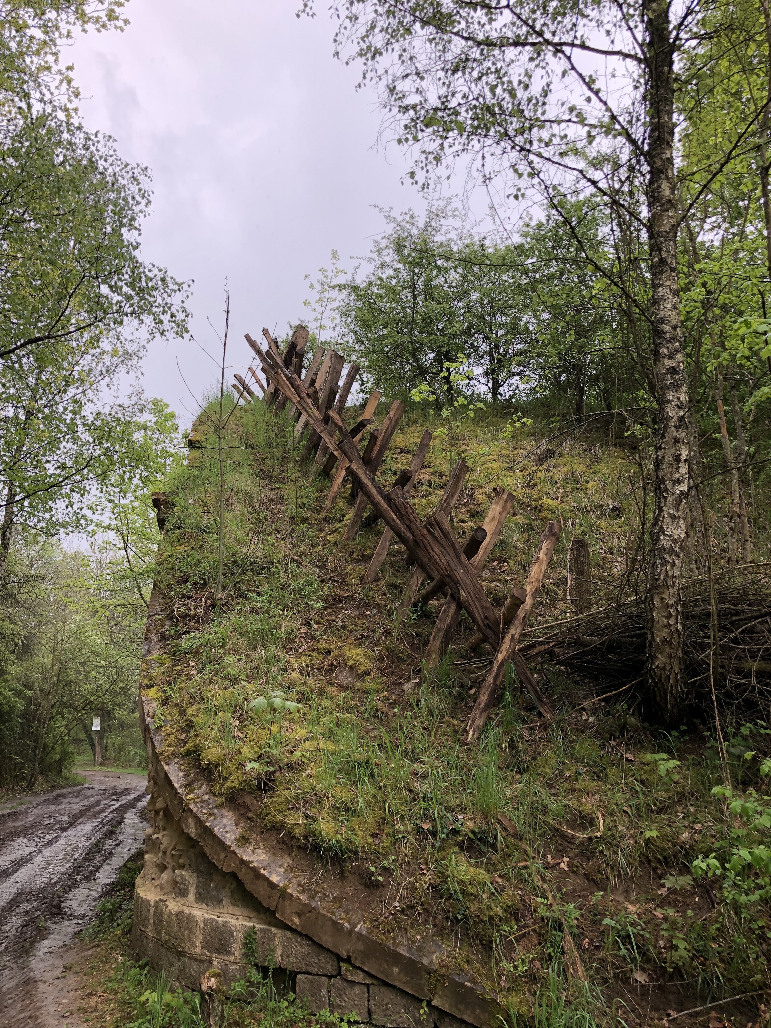 Photo n° 2 de l'avis de Laurent.e fait le 05/05/2023 à 15:54