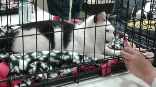 Pet Supply Store «PetSmart», reviews and photos, 6100 Arlington Blvd, Falls Church, VA 22044, USA