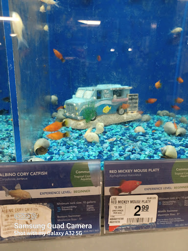 Pet Supply Store «PetSmart», reviews and photos, 15555 E 14th St, San Leandro, CA 94578, USA