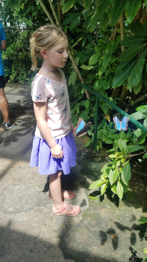 Zoo «Butterfly Habitat», reviews and photos, 1001 Fairgrounds Dr, Vallejo, CA 94589, USA