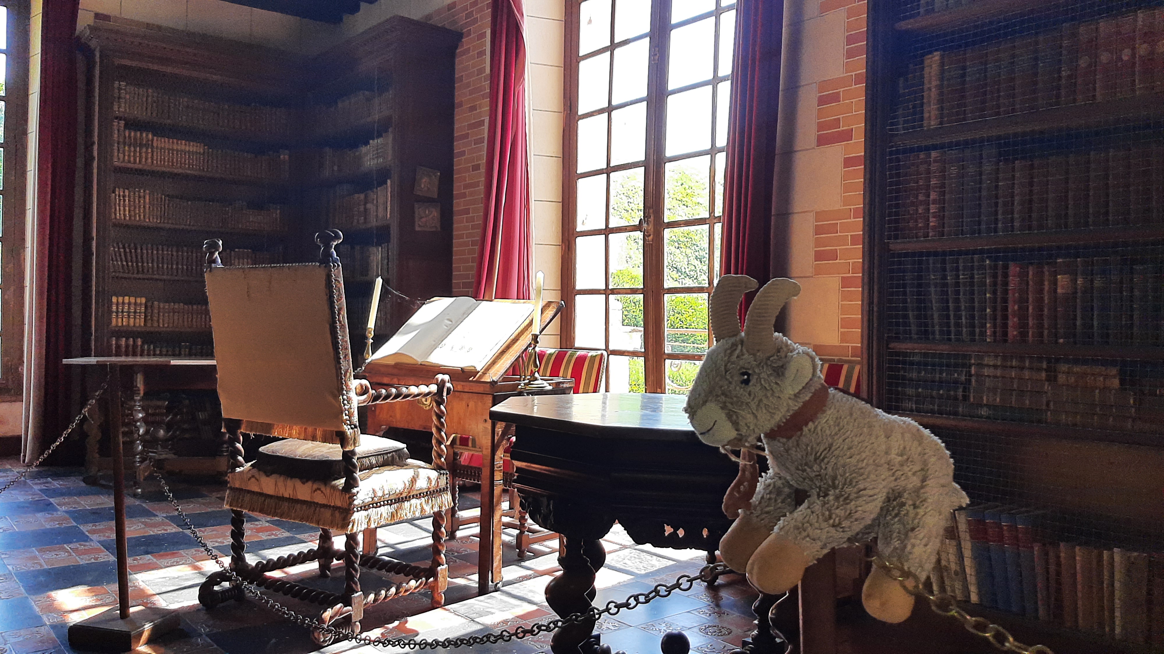 Photo n° 14 de l'avis de Armando.a fait le 18/07/2022 à 07:06