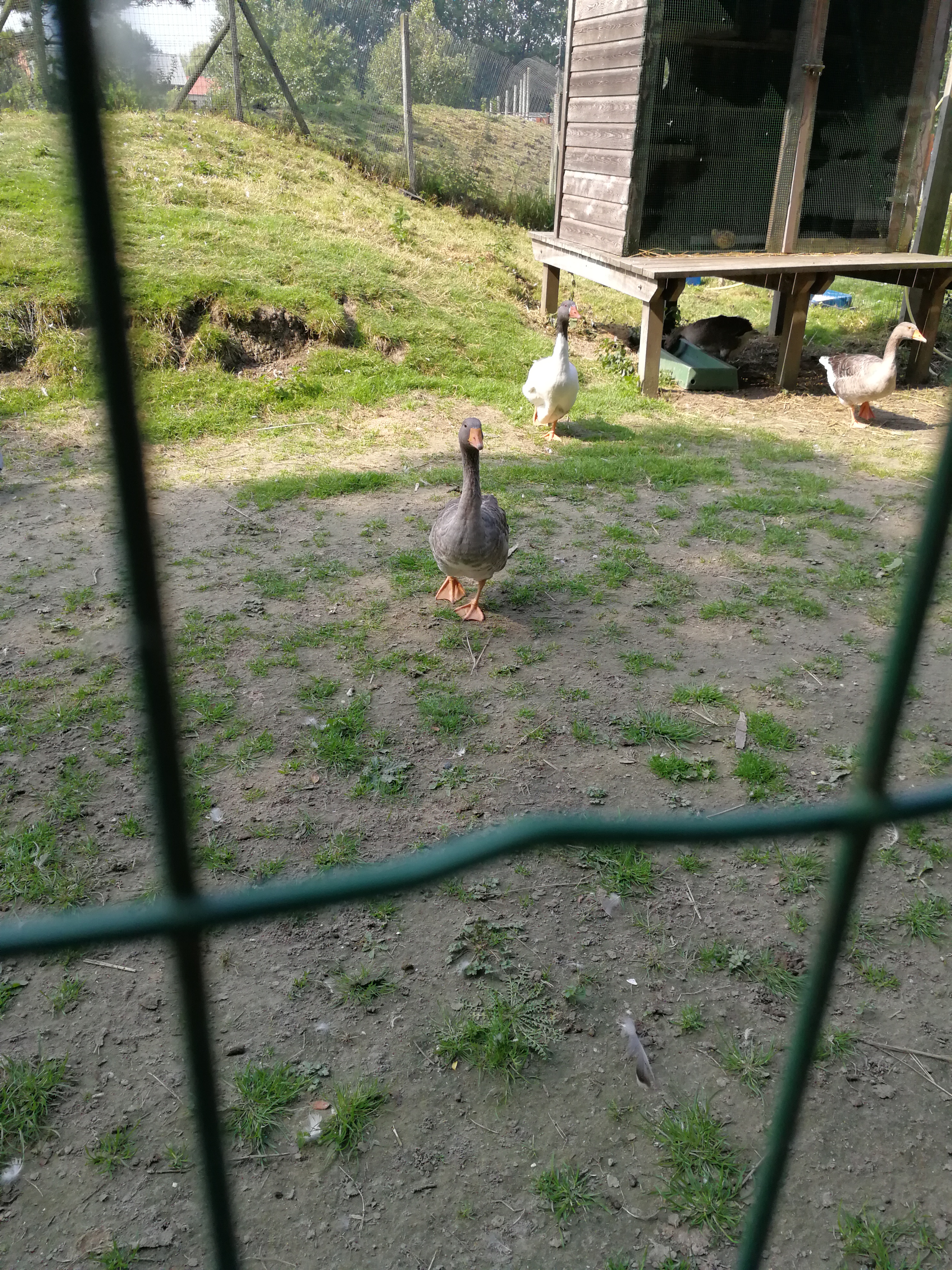 Photo n° 3 de l'avis de Vincent. fait le 27/08/2017 à 16:11