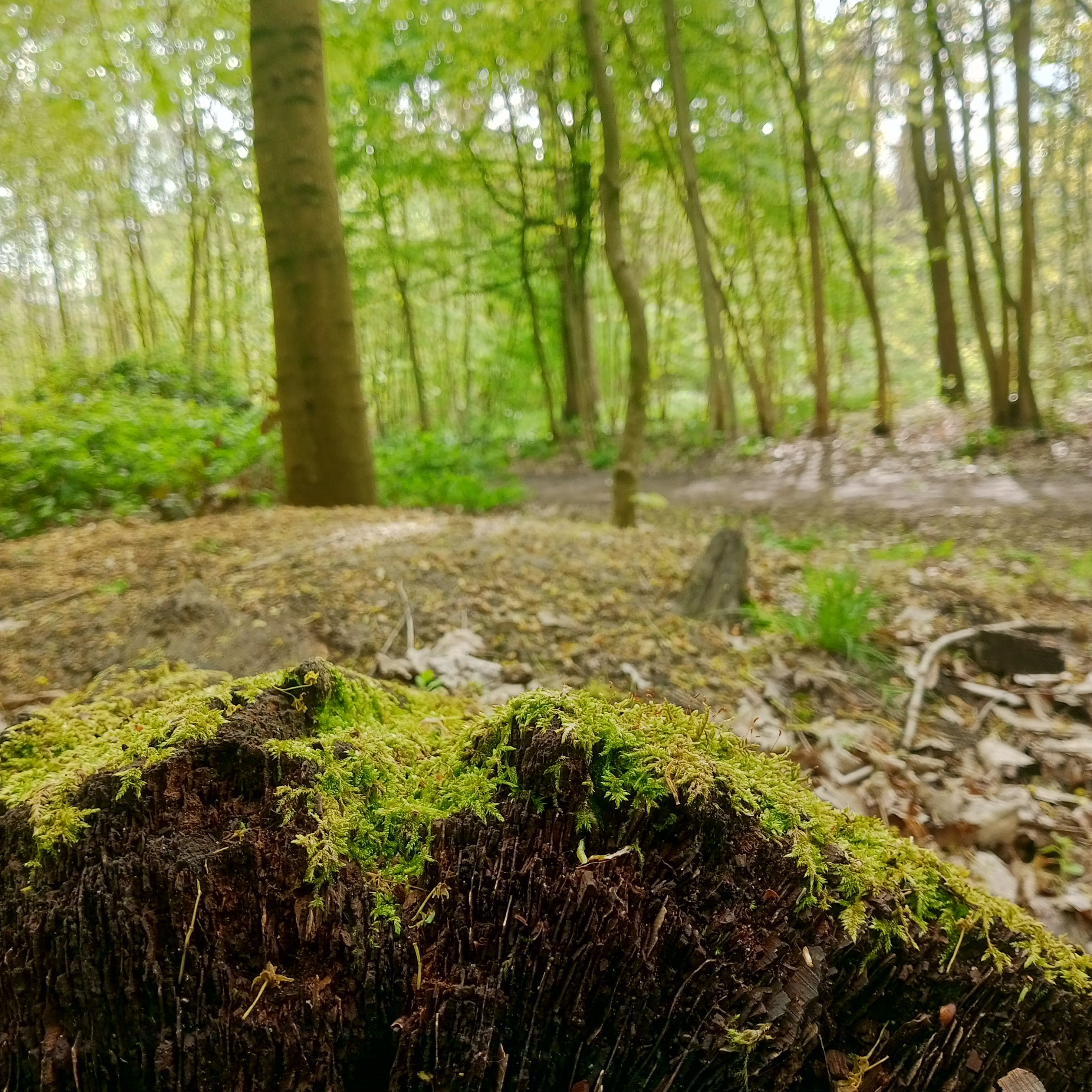 Photo n° 4 de l'avis de abed.l fait le 05/05/2023 à 10:11