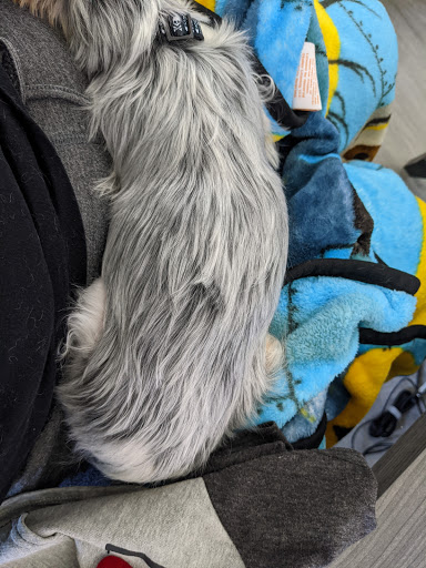 Pet Supply Store «Four Legs Pets Gilberts», reviews and photos, 133 E Higgins Rd, Gilberts, IL 60136, USA