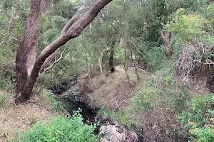 Ayr Creek Trail image