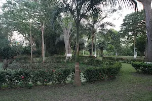 Apake Garden image