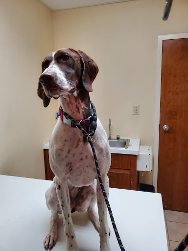 Nemasket Veterinary Clinic image