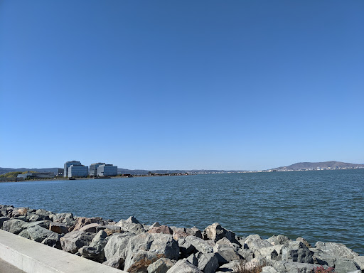 Sporting Goods Store «Boardsports California», reviews and photos, 1603 Coyote Point Dr, San Mateo, CA 94401, USA