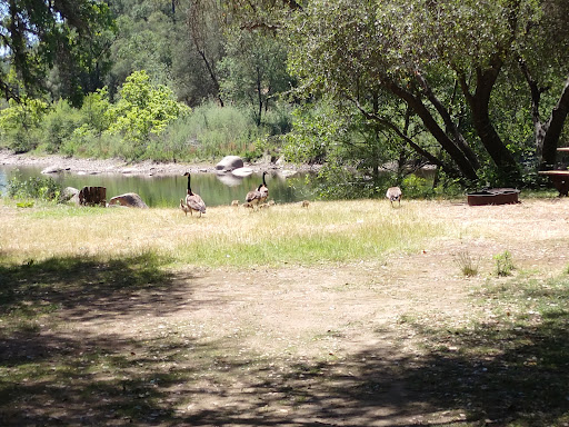 Rowing Club «Whitewater Excitement, Inc.», reviews and photos, 6580 CA-49, Lotus, CA 95651, USA