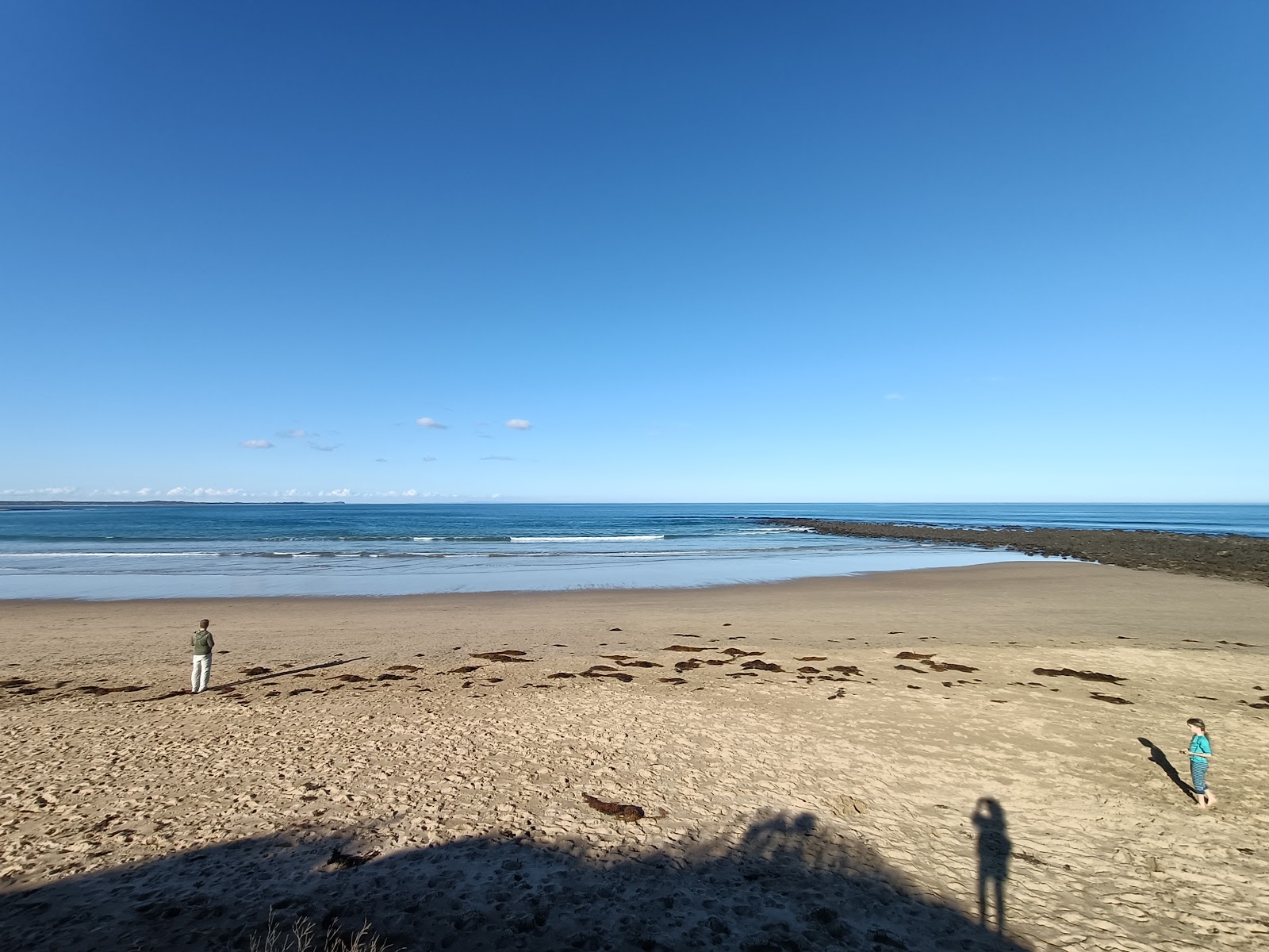 Photo de Ocean Grove Beach avec un niveau de propreté de très propre
