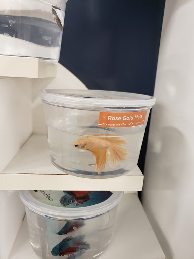 Pet Supply Store «Petco Animal Supplies», reviews and photos, 6280 S Westnedge Ave, Portage, MI 49002, USA