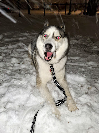 Park «Chicago Park District», reviews and photos, 5505 W Berteau Ave, Chicago, IL 60641, USA