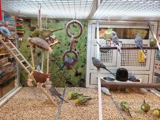 Pet Supply Store «PetSmart», reviews and photos, 315 Gellert Blvd, Daly City, CA 94015, USA