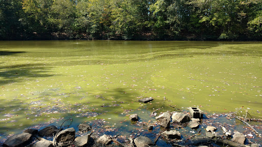 Nature Preserve «Three Lakes Park & Nature Center», reviews and photos, 400 Sausiluta Dr, Richmond, VA 23227, USA