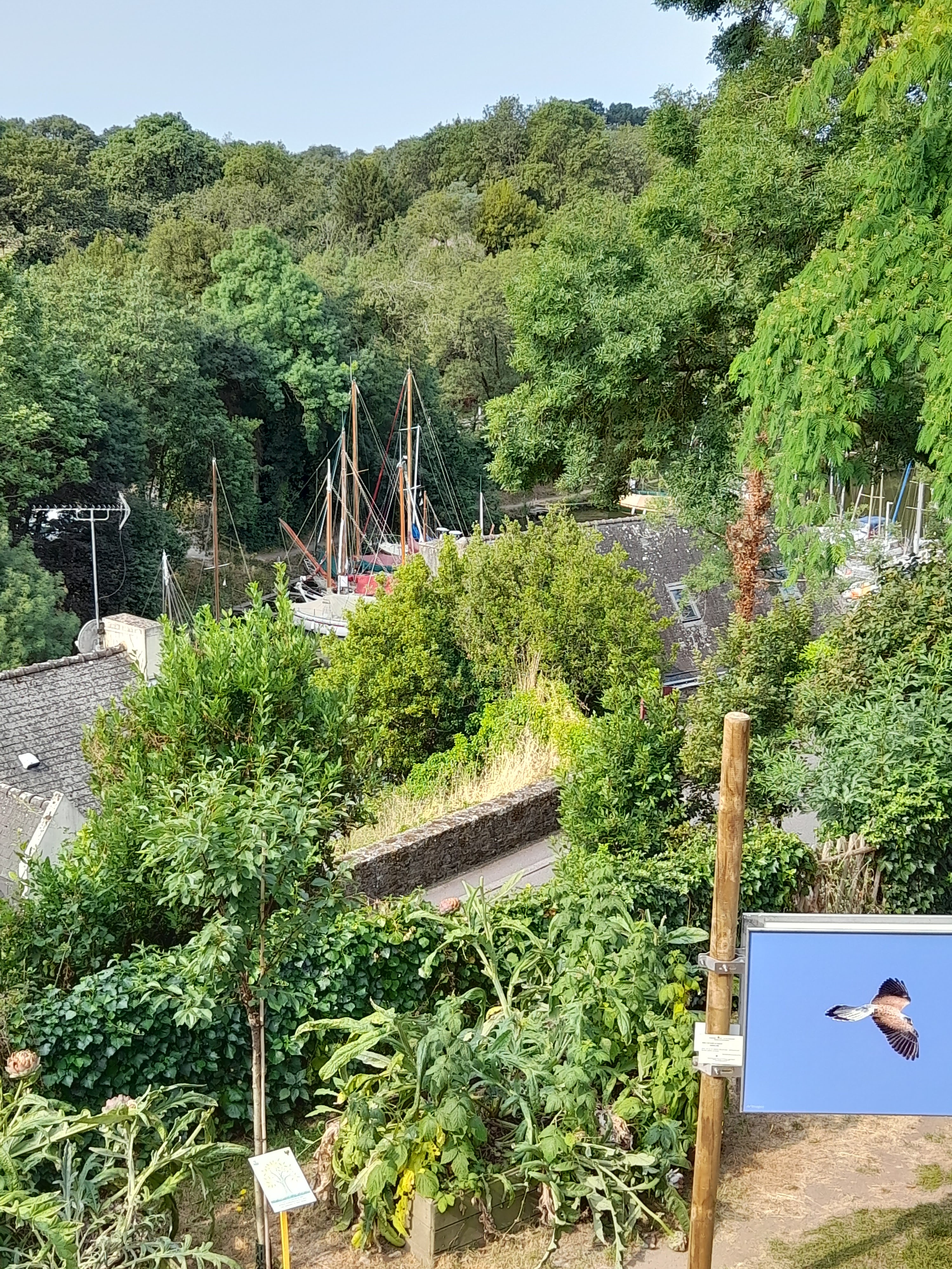 Photo n° 1 de l'avis de Michel.a fait le 27/06/2023 à 20:12