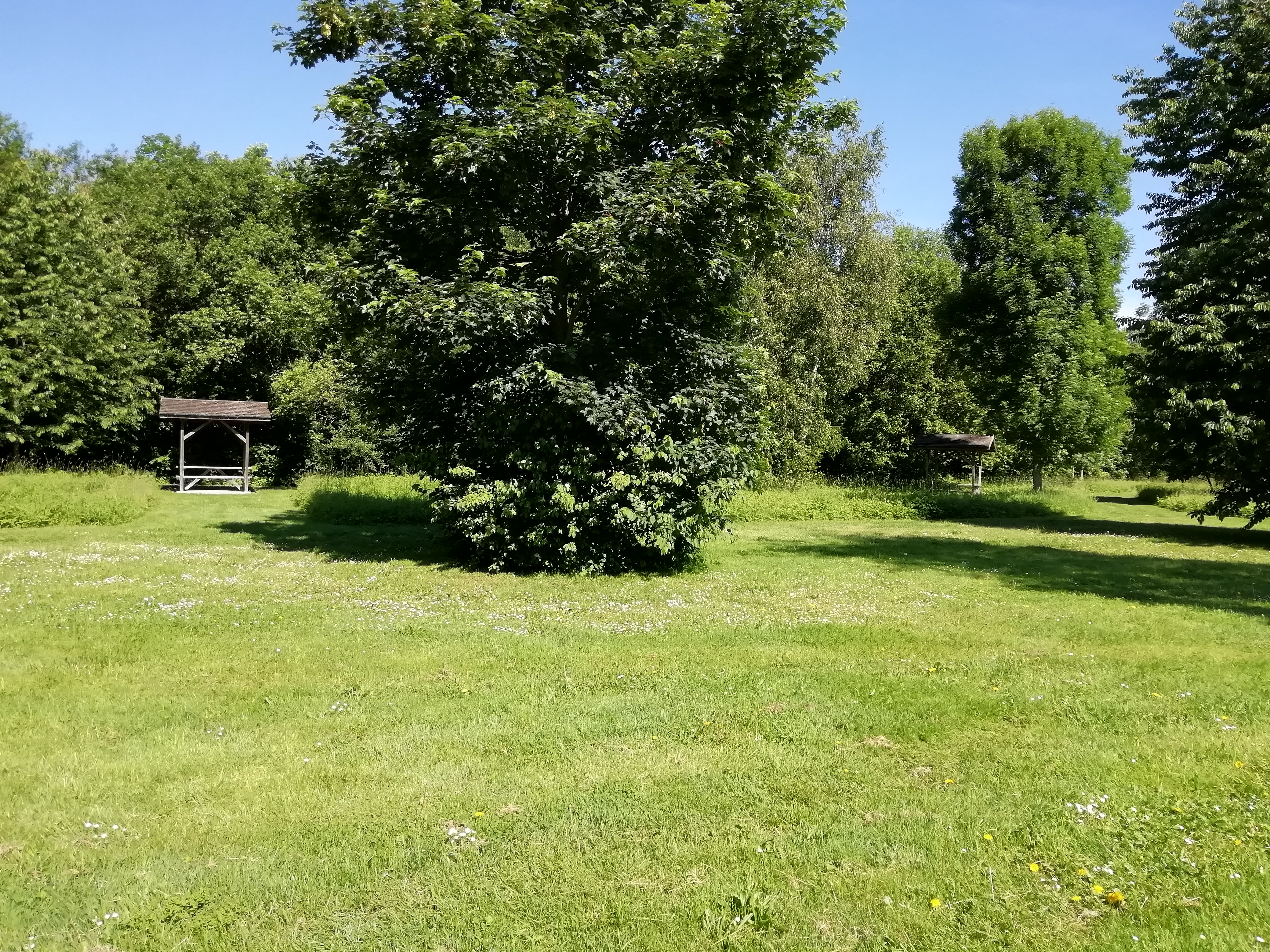 Photo n° 8 de l'avis de dada.r fait le 01/06/2019 à 11:10