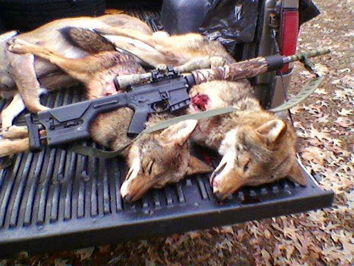 Gun Shop «Patriots Armory, LLC», reviews and photos, 2836 E 2nd St, Muscle Shoals, AL 35661, USA