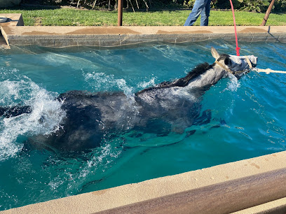 G Spur Equine Hydrotherapy Center