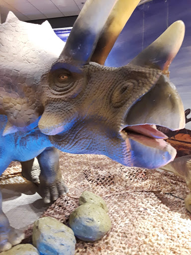 Movie Theater «Cinemark Ridgmar 13», reviews and photos, 2300 Green Oaks Rd, Fort Worth, TX 76116, USA