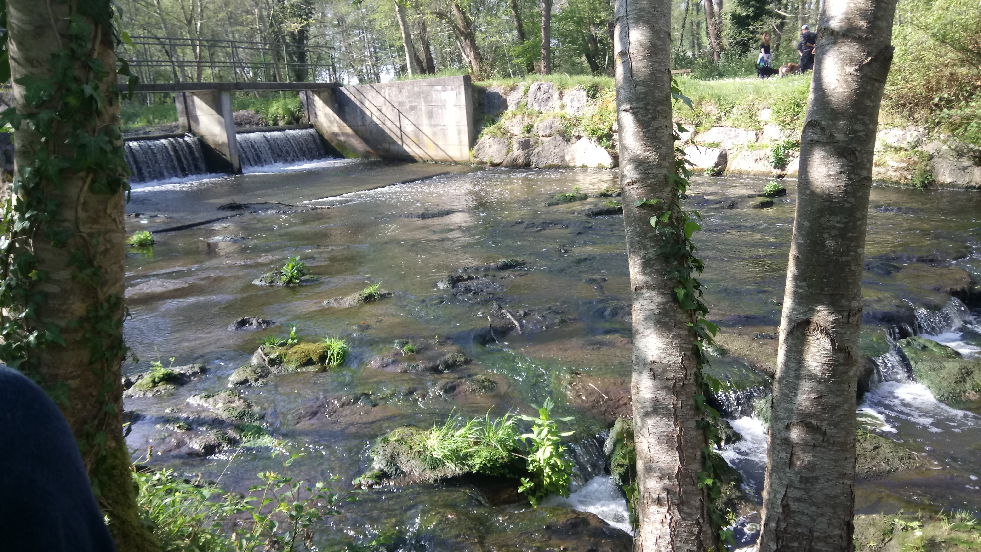 Photo n° 3 de l'avis de Agnès.E fait le 27/04/2019 à 09:21