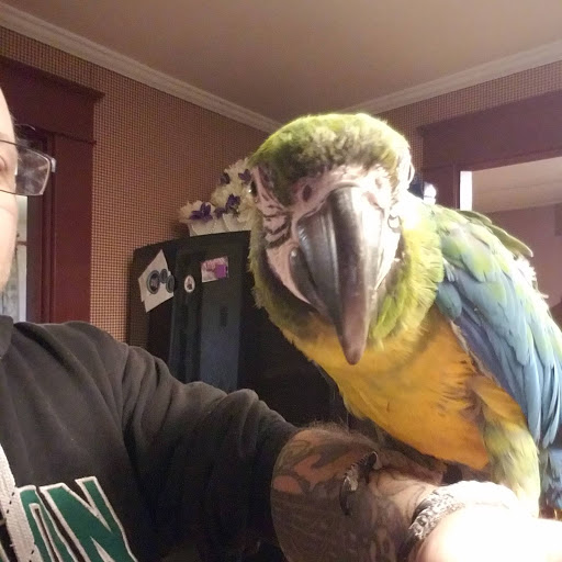 Pet Supply Store «PetSmart», reviews and photos, 160 Washington St #701, Rochester, NH 03839, USA