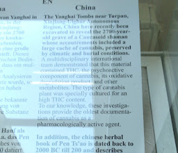 Hemp Museum photo