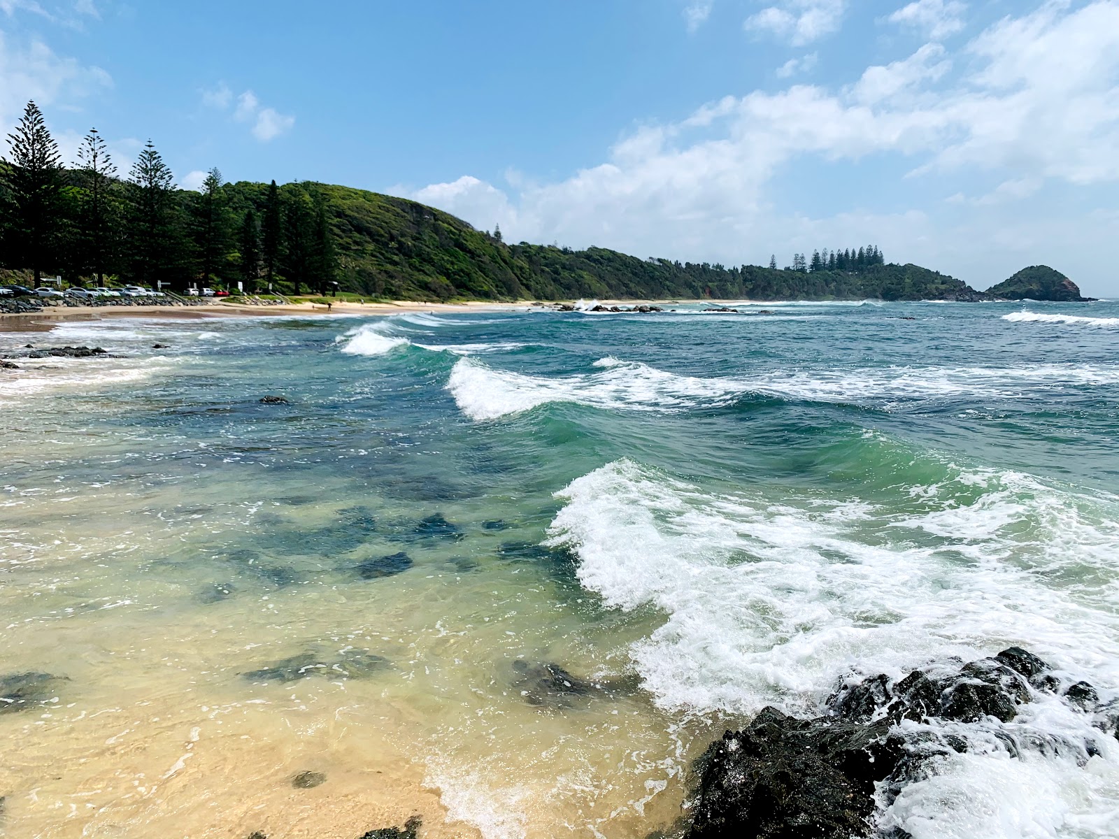 Shelly Beach photo #9