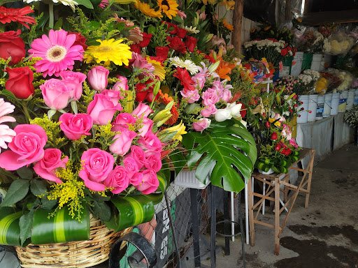 Florería Piscis 2da sucursal – Tulancingo