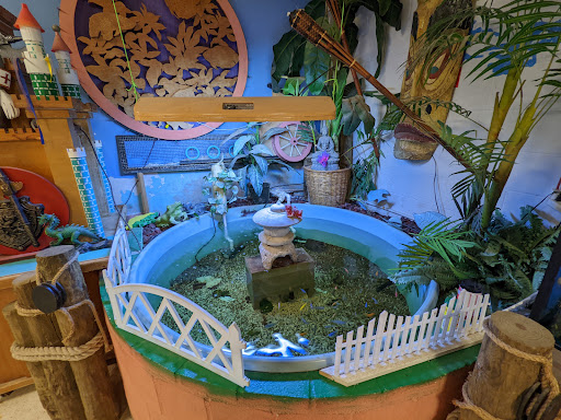 Pet Store «Forever Pets Inc», reviews and photos, 1030 Basse Rd, San Antonio, TX 78212, USA