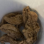 Photo n°1 de l'avis de Big.l fait le 10/02/2024 à 12:57 sur le  Trav & Drey Fried Chicken à Amberg