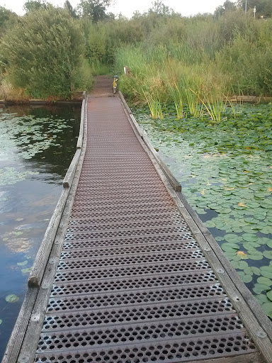 Botanical Garden «Washington Park Arboretum - UW Botanic Gardens», reviews and photos, 2300 Arboretum Dr E, Seattle, WA 98112, USA