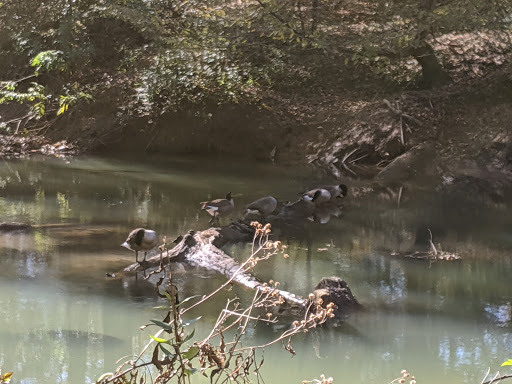 Park «Cochran Shoals - Powers Island», reviews and photos, 5450 Interstate N Pkwy, Sandy Springs, GA 30328, USA