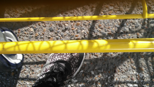 Discount Store «Dollar General», reviews and photos, 3007 Sugar Rd, Edinburg, TX 78539, USA