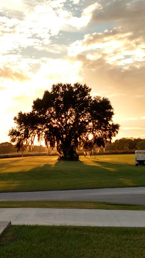 Golf Course «Sanlan Golf Course», reviews and photos, 2505 Sanlan Golf Dr, Lakeland, FL 33812, USA