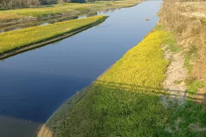 Gomti River image