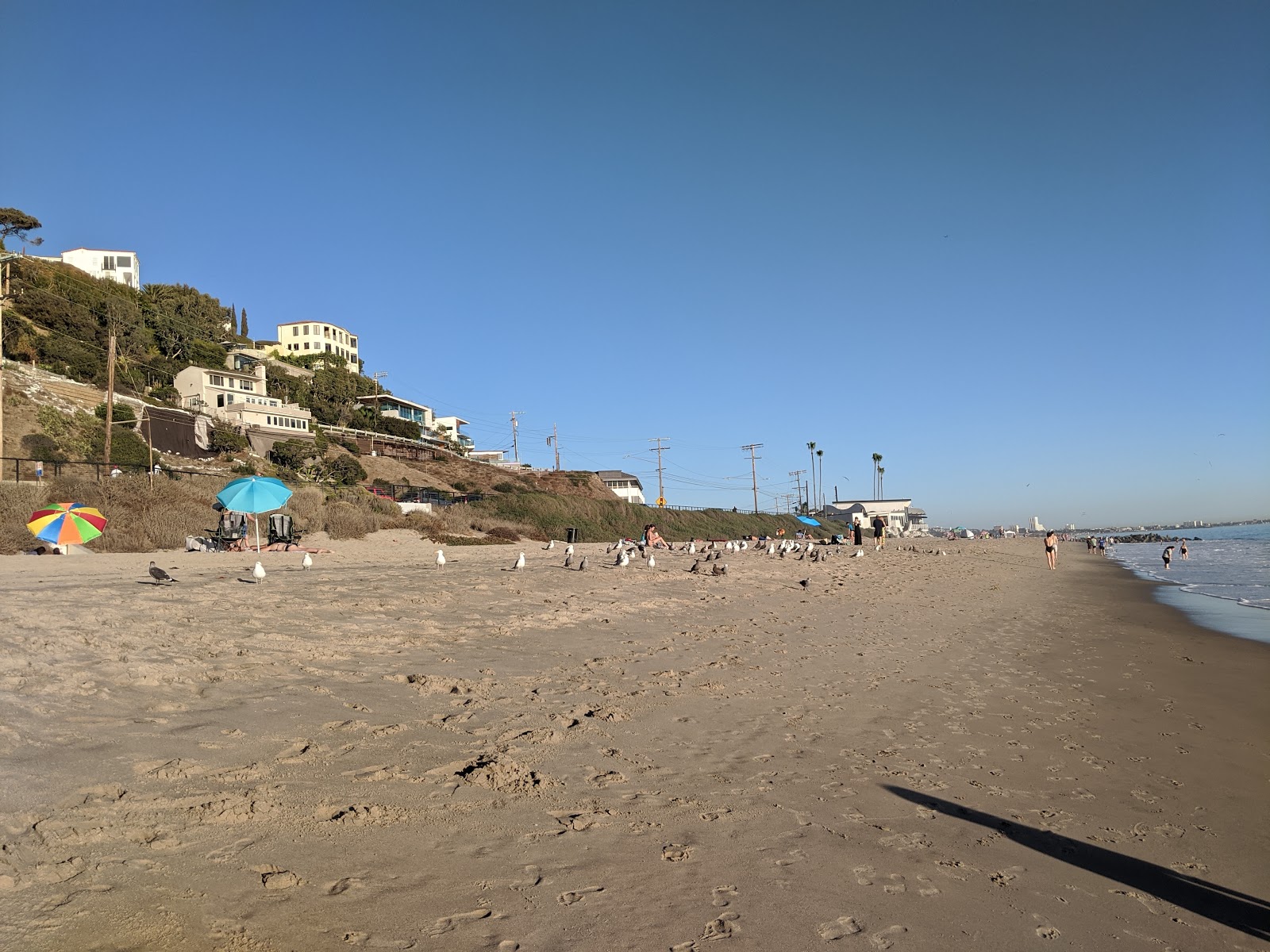Castle Rock Beach的照片 带有长直海岸