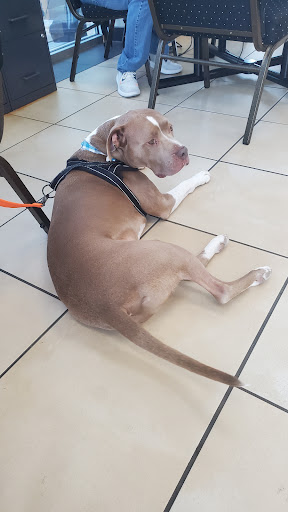 Kia Dealer «Southwest Kia - Rockwall», reviews and photos, 1790 I-30 Frontage Rd, Rockwall, TX 75087, USA