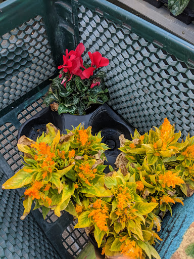 Hardware Store «Orchard Supply Hardware», reviews and photos, 2245 Gellert Blvd, South San Francisco, CA 94080, USA